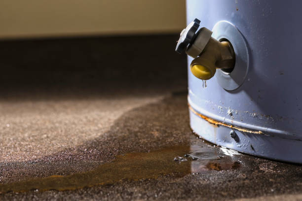 Best Water damage cleanup near me  in North Fork, AZ