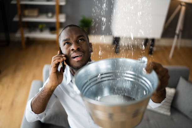 Water damage restoration experts in North Fork, AZ