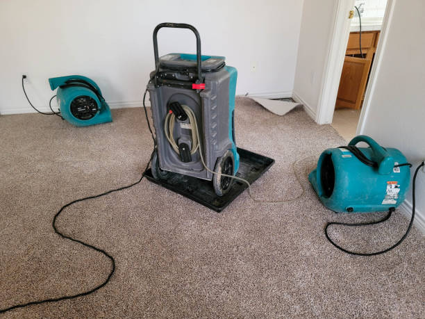 Best Commercial water damage restoration  in North Fork, AZ