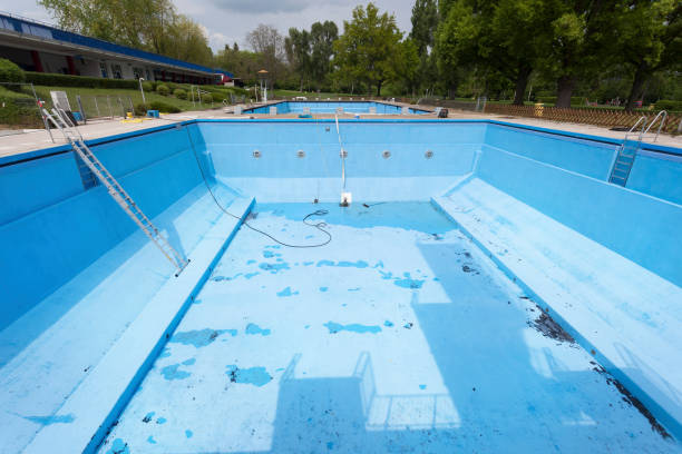 Best Water damage restoration services  in North Fork, AZ