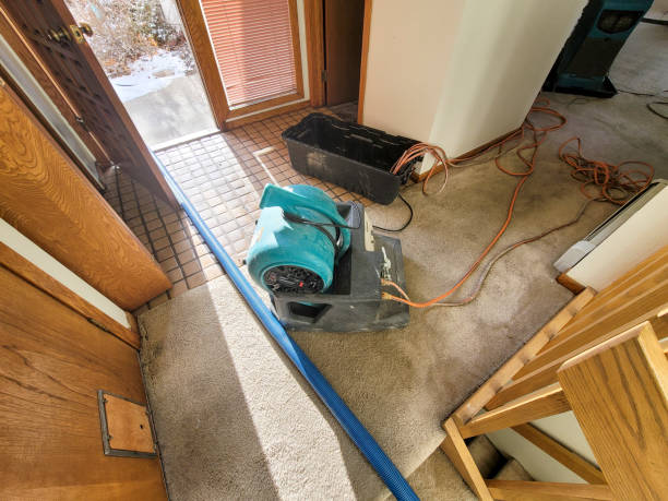 Best Flood restoration services  in North Fork, AZ