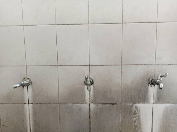 Trusted North Fork, AZ Water damage restoration Experts