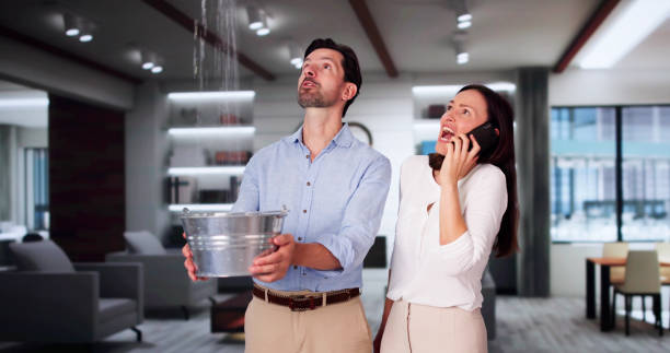Best Mold removal after water damage  in North Fork, AZ
